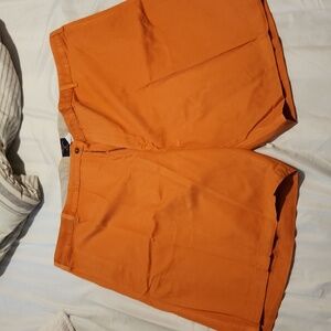 Saddlebred Shorts Orange size 50